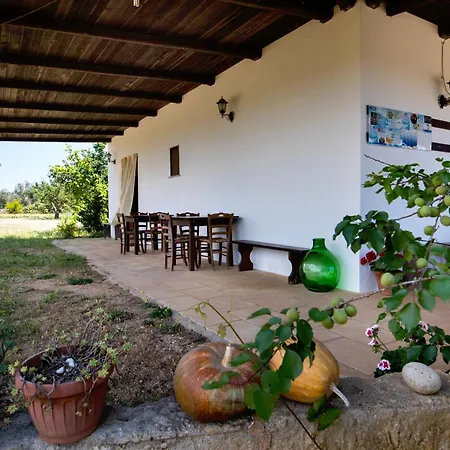 Autentico Agri Salento